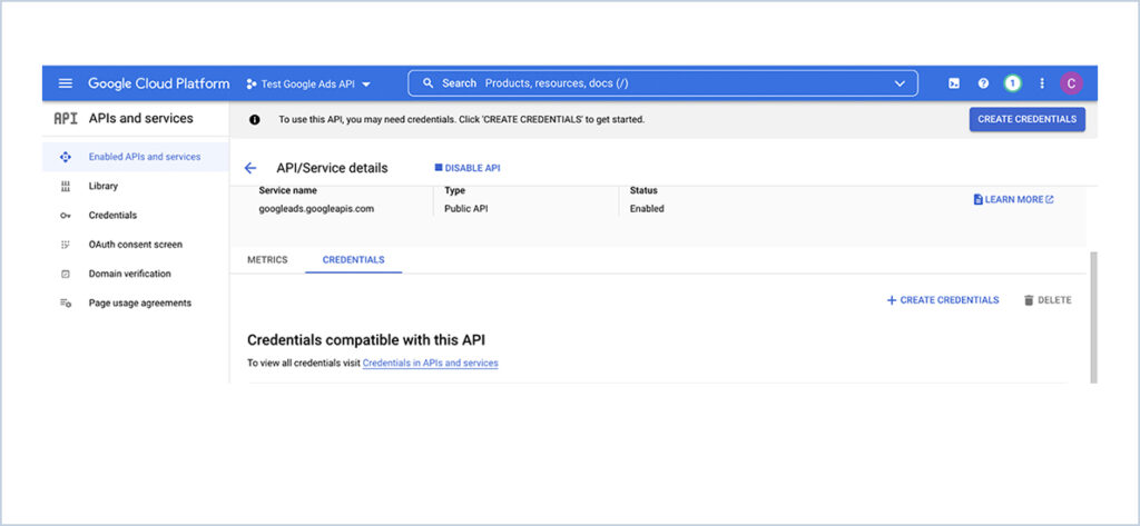 Google Ads API Integration