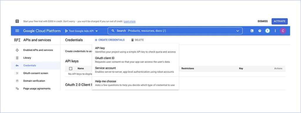 Google Ads API Integration