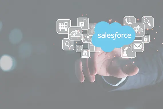 Salesforce Consulting Partner