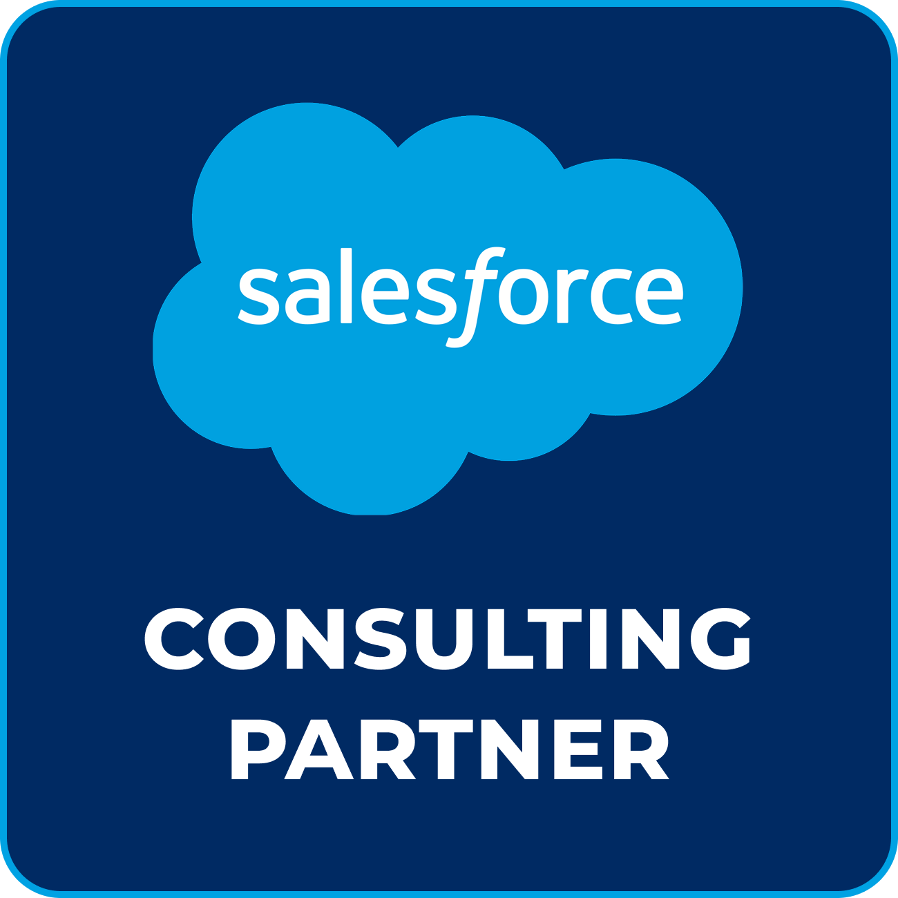 Consulting-Partner 