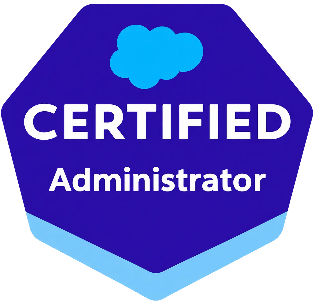 Certified-Administrator Salesforce Implementation Services